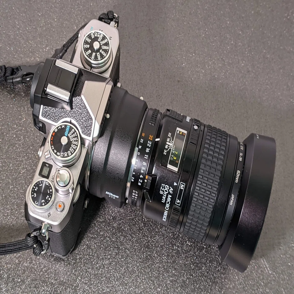 Ai AF Micro-Nikkor 60mm F2.8Sを整備して，スナップ写真を撮ってみた 