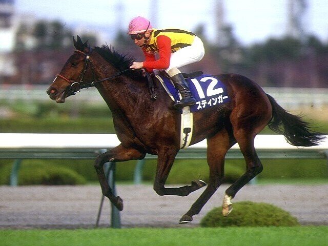 競馬 JRA 馬券 1998年 有馬記念 エアグルーヴ （武豊 5着 良かれ