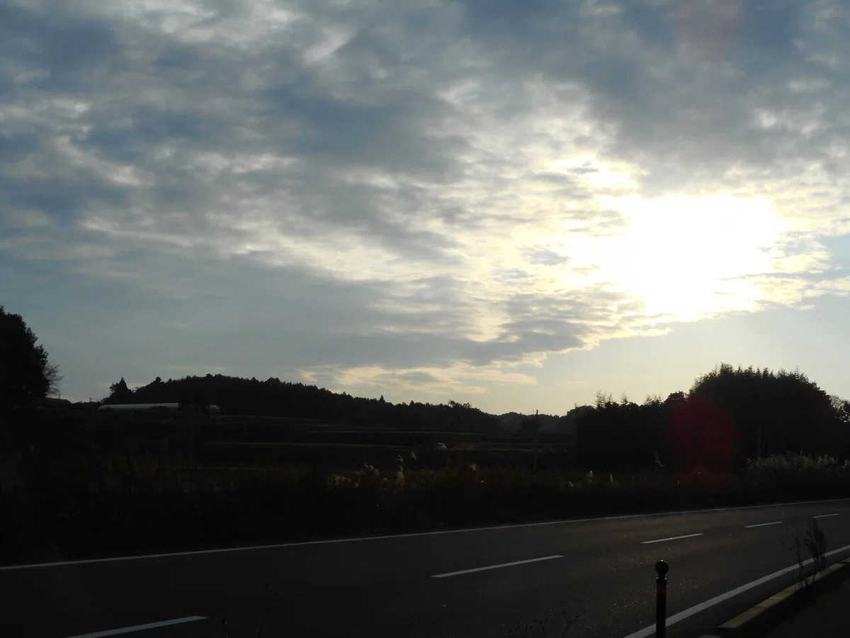 画像11