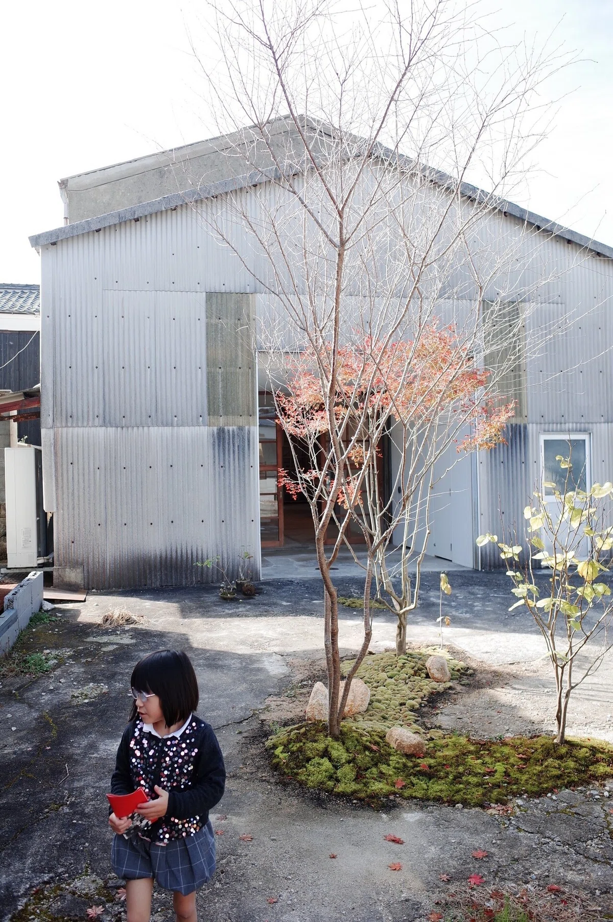 画像14