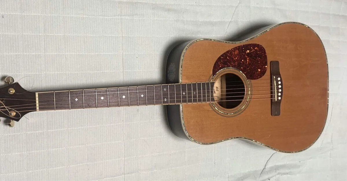GREG 打ちこみ BENNETT グレッグベネット D-8 アコースティックギター