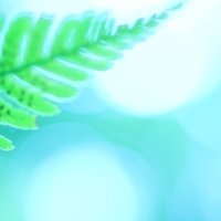 飛ばない豚は ただの豚だ ではない 紅の豚 のもう一つの名言 まほぴ Note