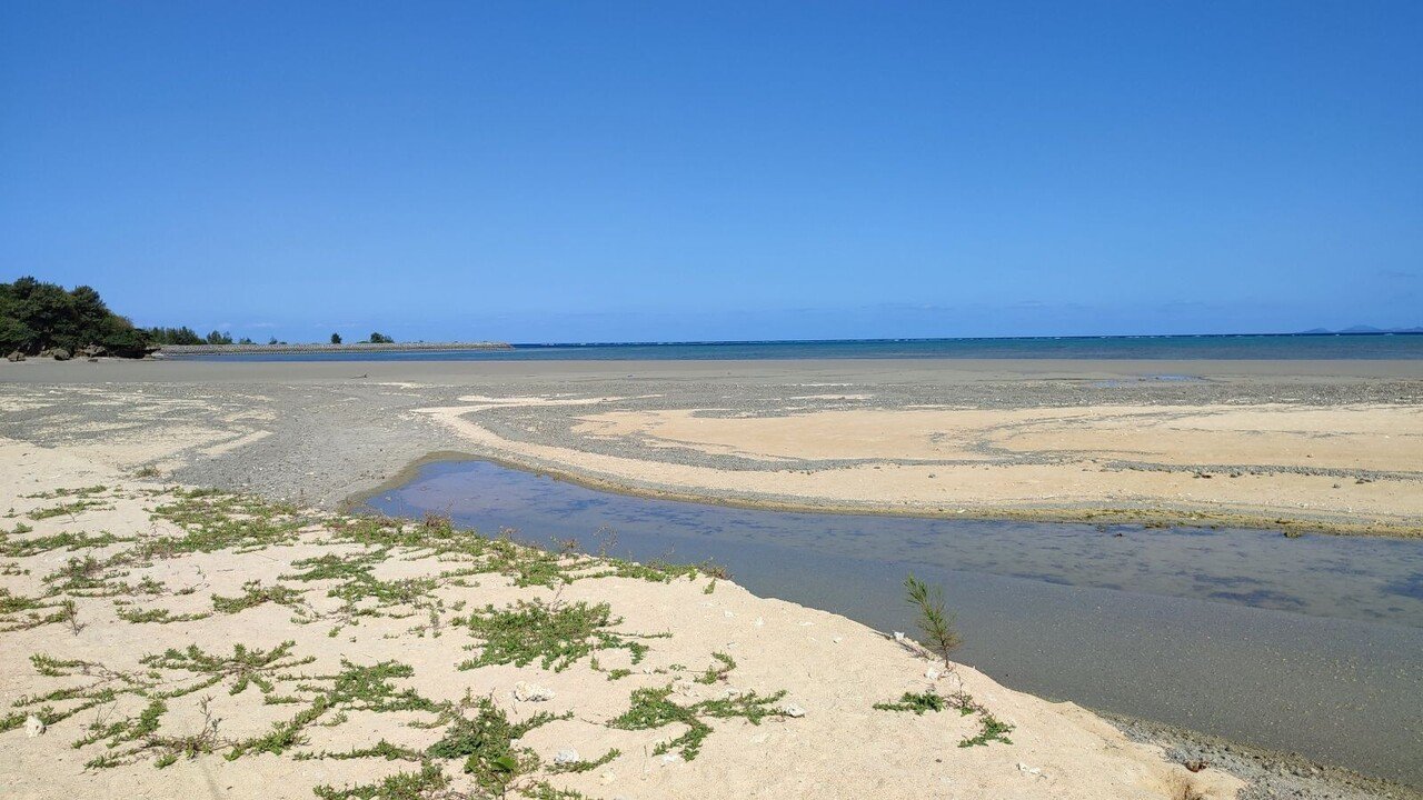 砂浜の感触はこんなにも柔らかかった【毎日note】#73｜伊藤七日