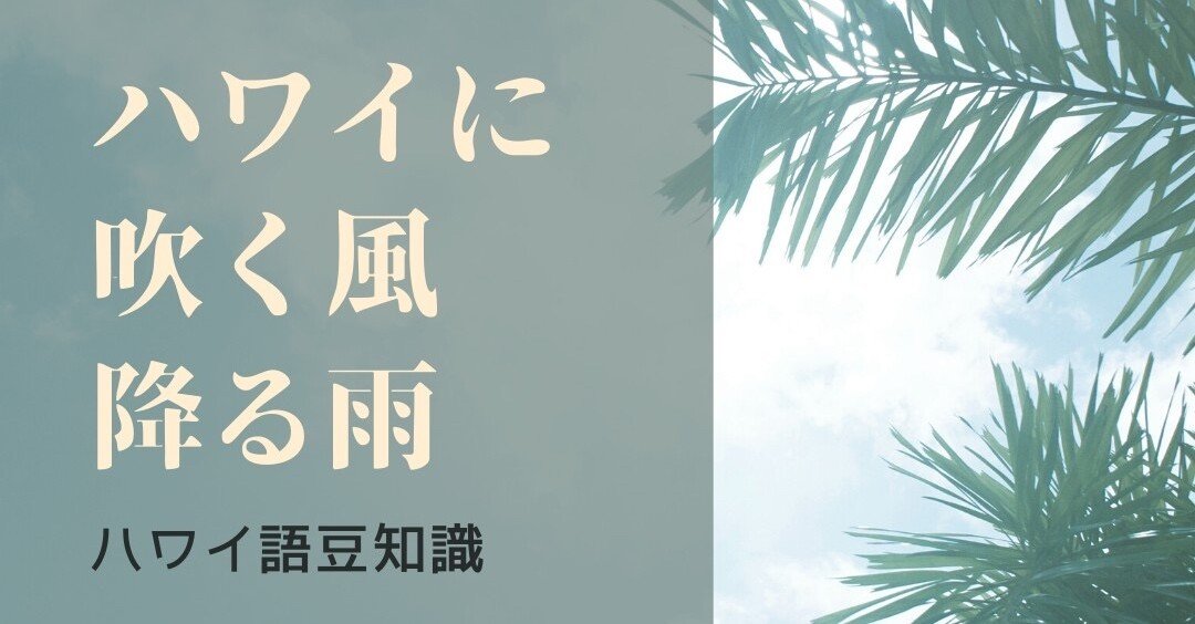 ハワイに吹く風 降る雨｜新倉真澄 / ウクレレインストラクター