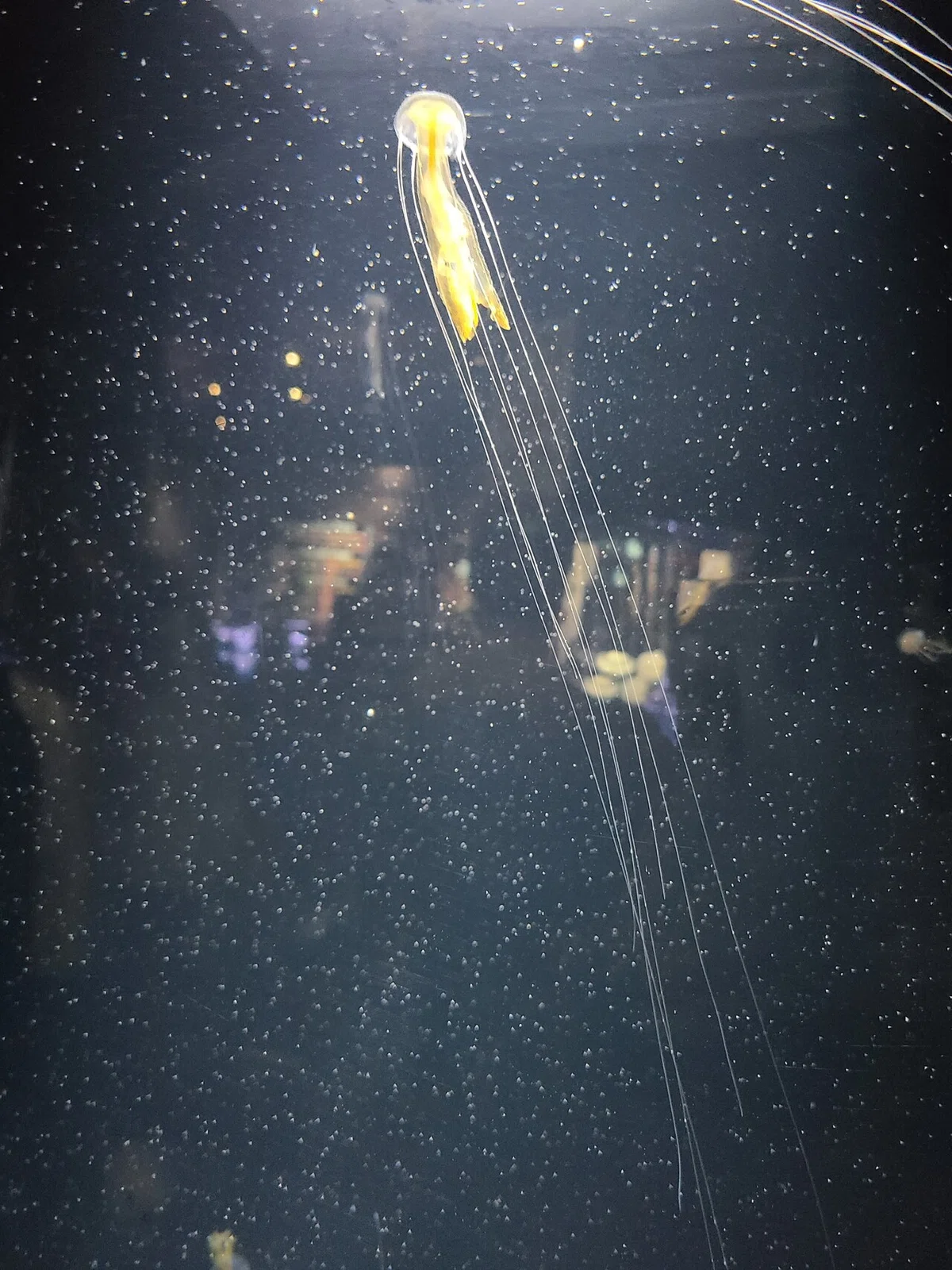 画像15