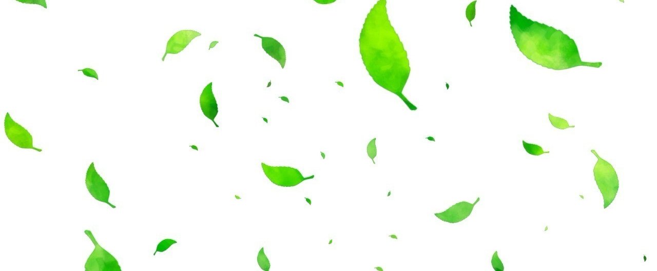 日本茶の品種茶は結構おもしろい｜伊藤 尚哉(naoya ito)