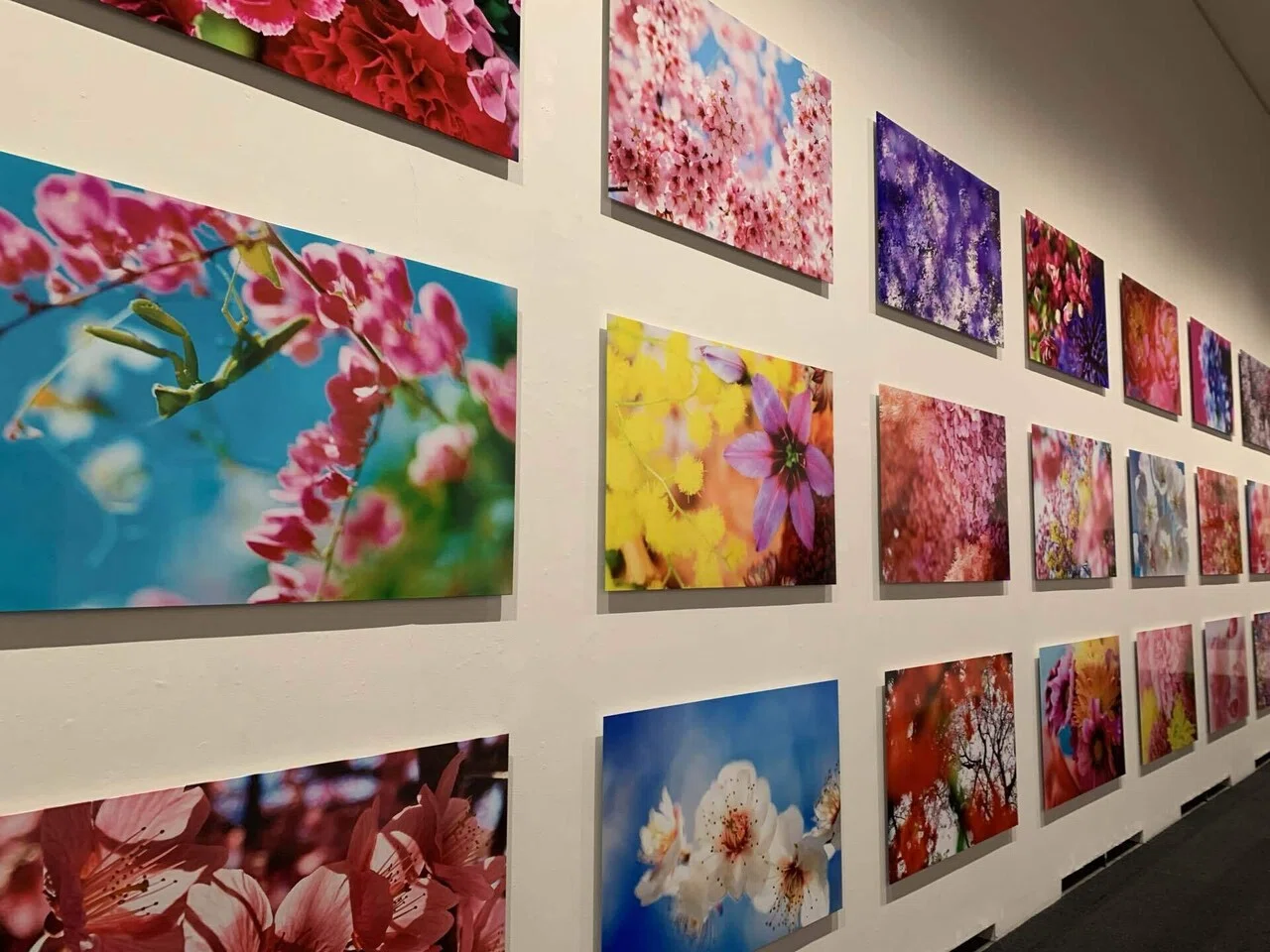 貴重　KARE 鏡　アンティーク　ヴィンテージ家具インテリア蜷川実花好き アートめぐり 蜷川実花展 ー虚構と現実の間にー｜もさ