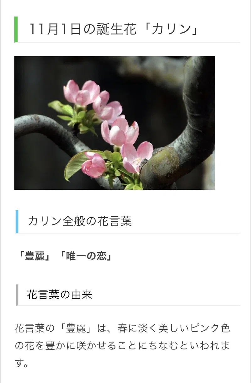 Noter紹介 こっそりお誕生日会開催 Blue Handさん Chiyo Note