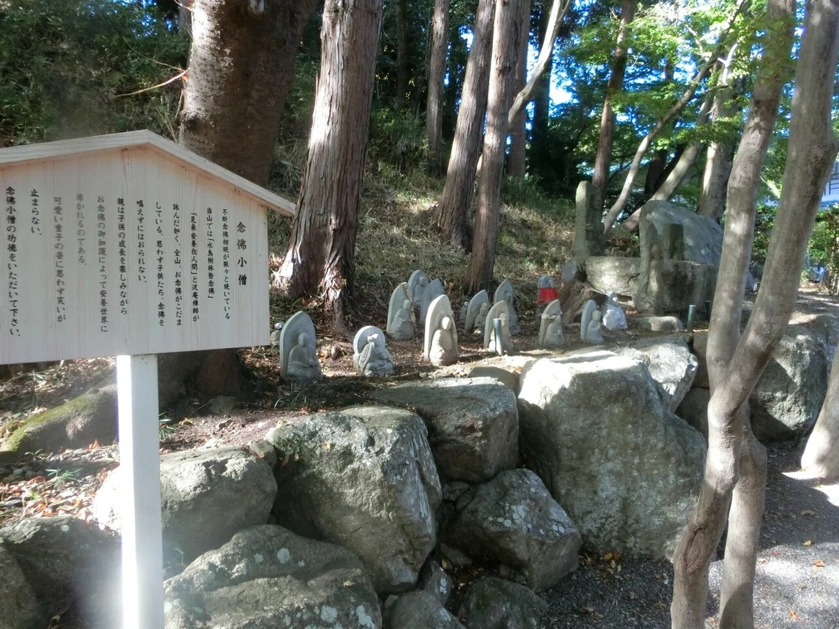 画像5