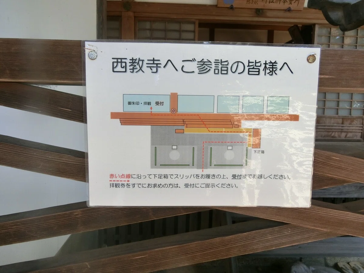 画像7