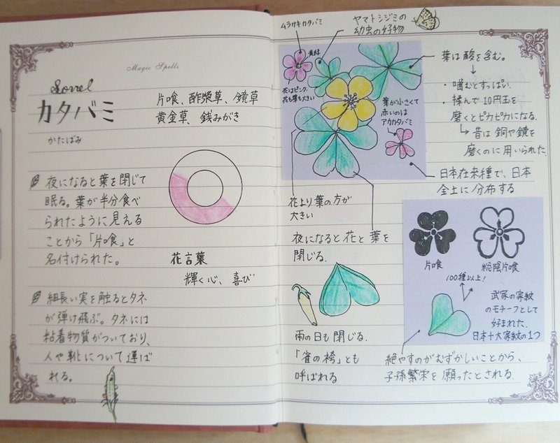 歩くのが楽しくなる 植物図鑑 のつくりかた 三條 凛花 りんか Note 歩くのが楽しくなる 植物図鑑 のつくりかた 三條 凛花 りんか Note