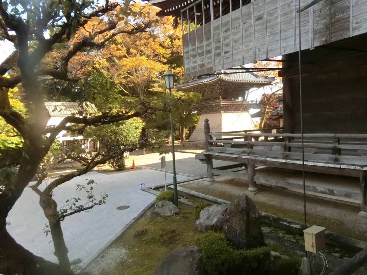 画像14