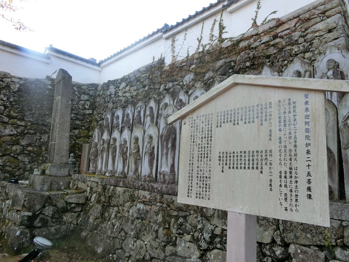 画像24