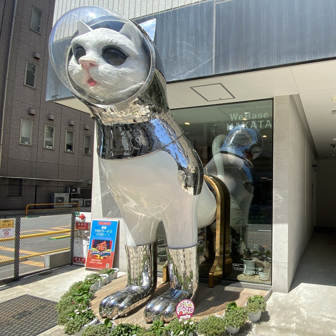 宇宙服を着た博多の猫の正体は｜sanchi