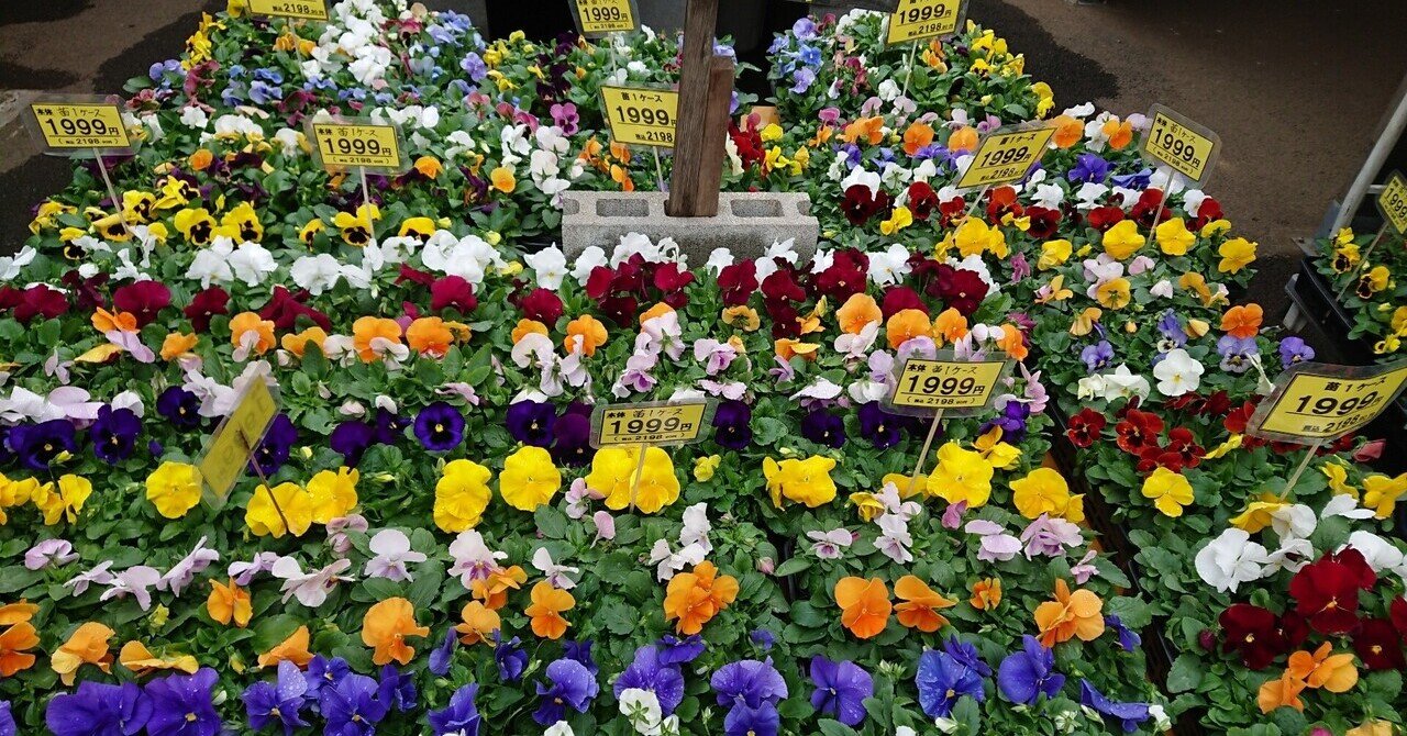 花屋の店先に並んだ いろんな花を見てきた Orange Note