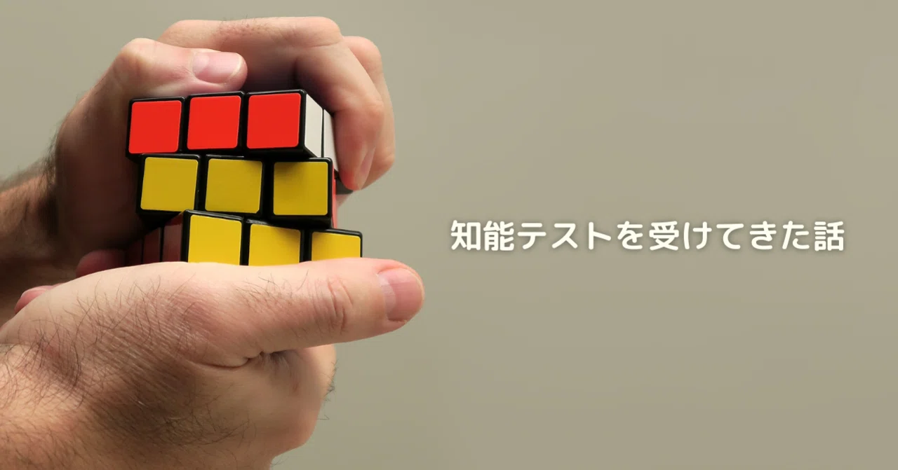 知能検査（WAIS-IV）を受けてきました｜西田