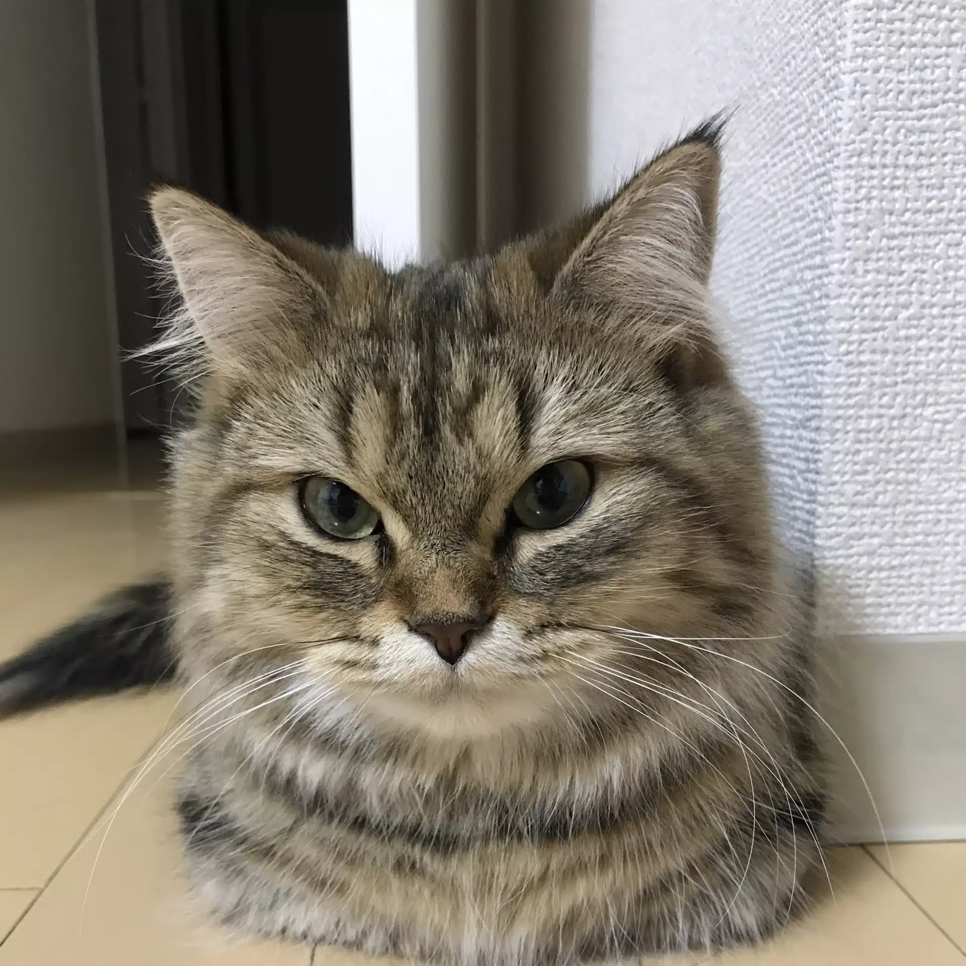 バックオフィスおじの独り言