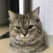 バックオフィスおじの独り言