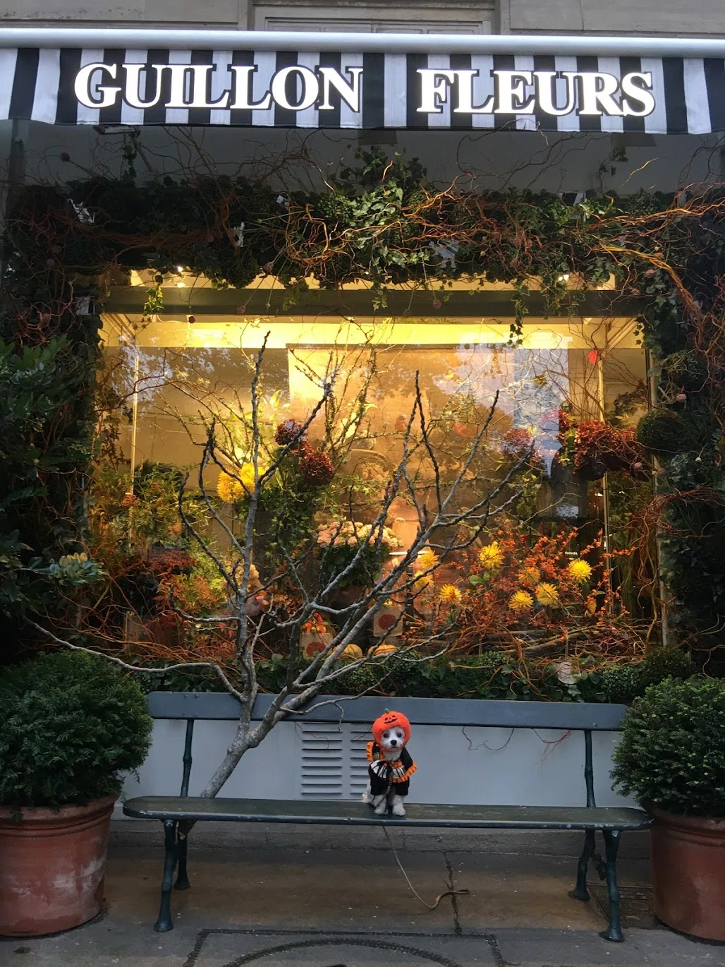 画像9