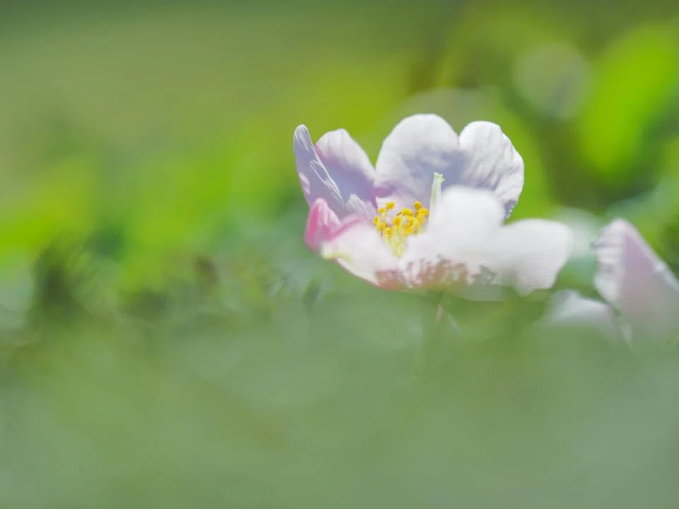 画像9