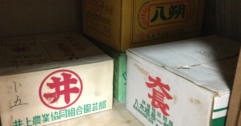 画像7
