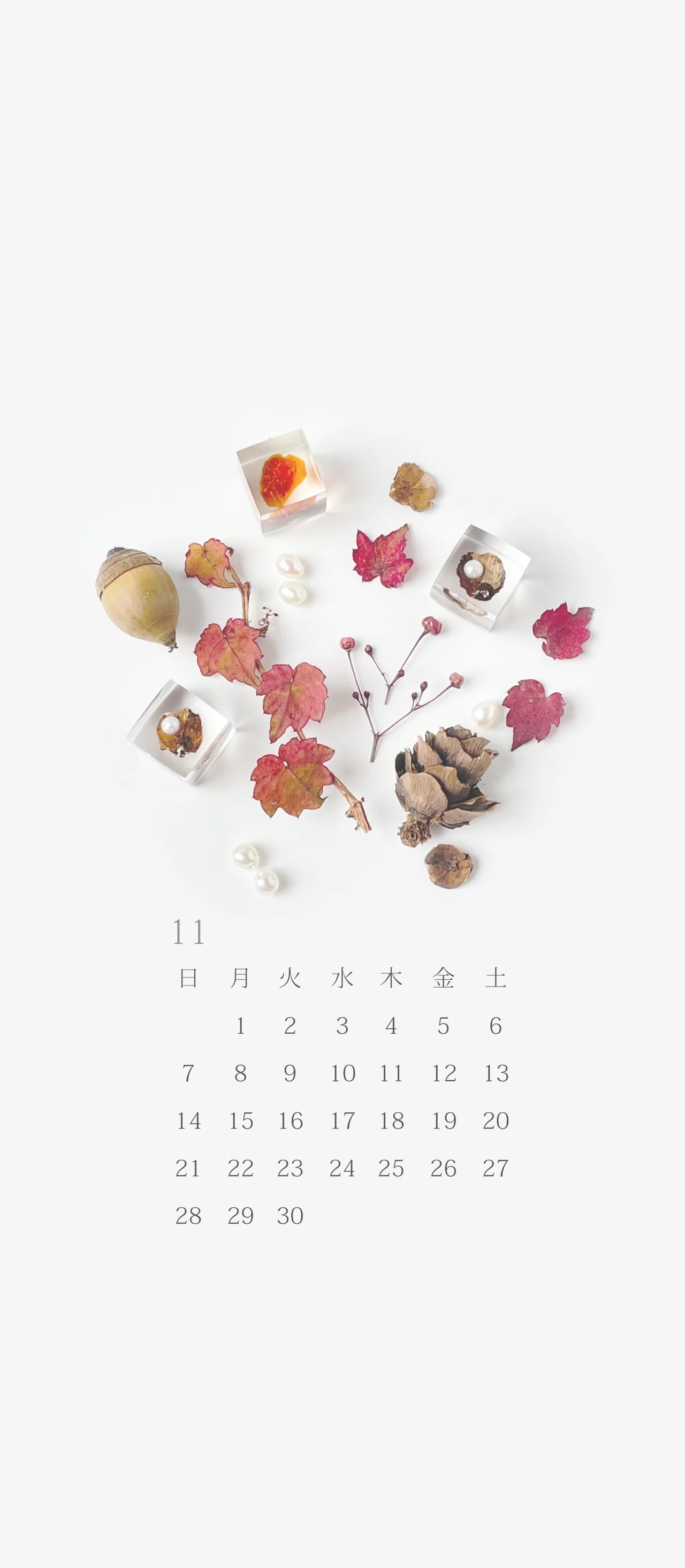 無料ロック画面カレンダー 11月 秋のリズム ミチクサ Photo Jewelry Note