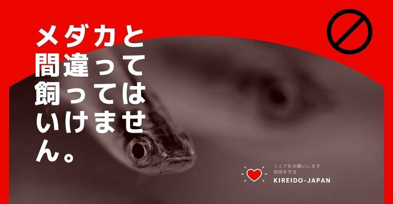捕ってはいけない 本物と見分けがつかない偽メダカにご注意 懲役 罰則の恐れあり 今すぐ確認のこと 綺麗道 古川 綾子 綺麗メシ研究家 四柱推命鑑定士 Note 捕ってはいけない 本物と見分けがつかない偽メダカにご注意 懲役 罰則の恐れあり 今すぐ確認のこと 綺麗道 古川 綾子 綺麗メシ研究家 四柱推命鑑定士 Note