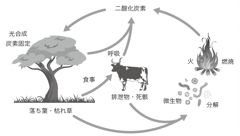 図1_炭素循環