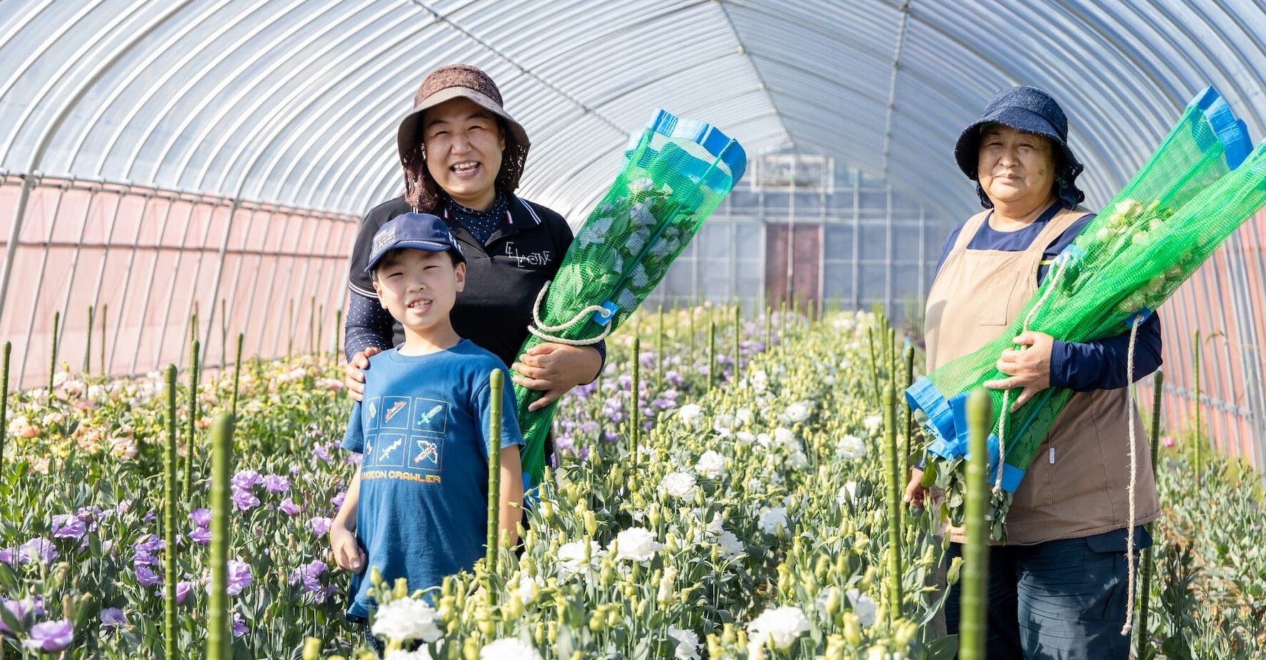 5ce8c071f83763effd29018d6c277a