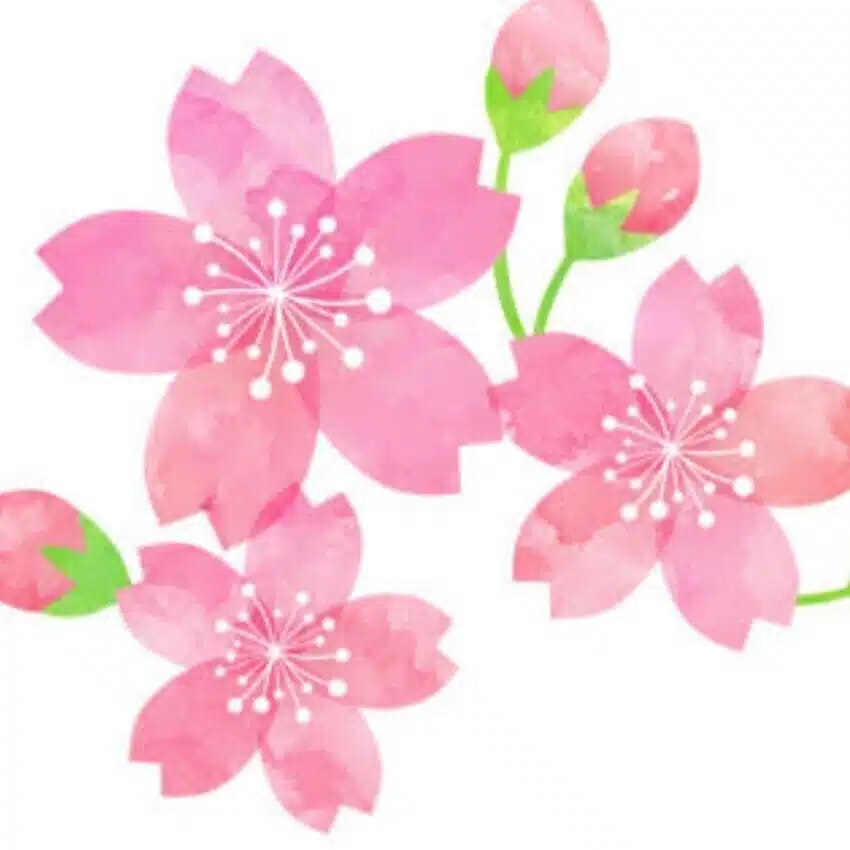 桜小路いをり