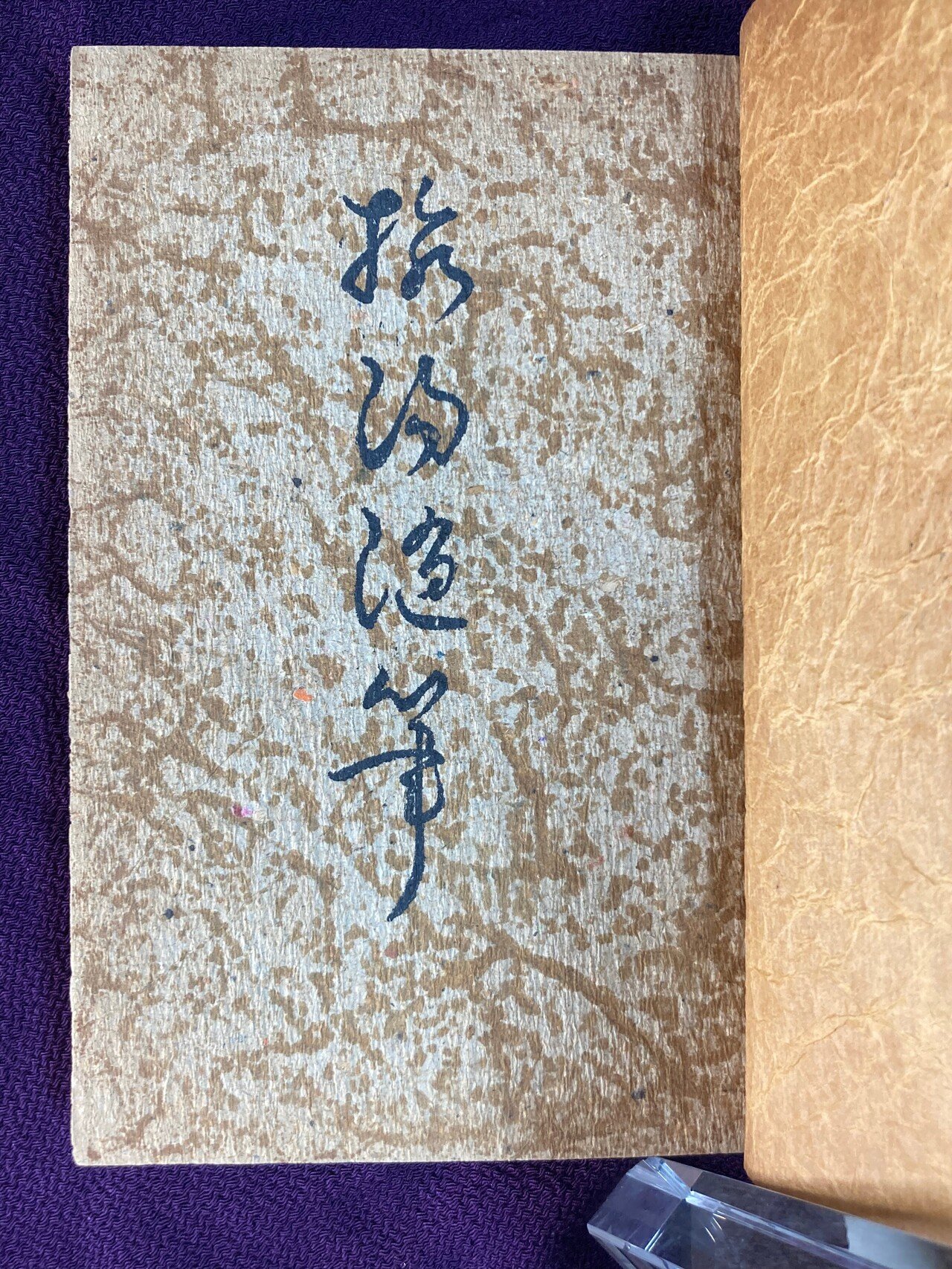 【冬バーゲン★特別送料無料!】 谷崎潤一郎『攝陽随筆』 キッチュとしての「風流」|表現急行の人 和書