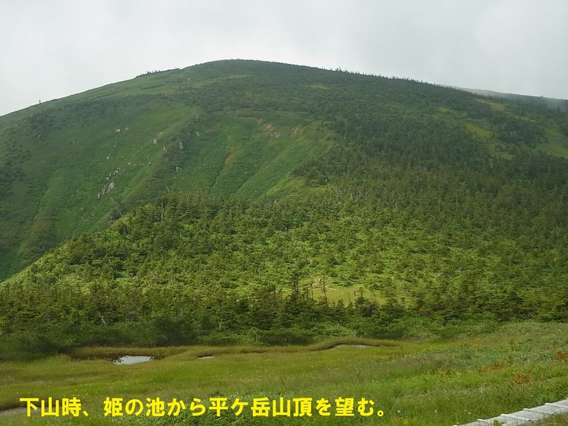 2015年8月平が岳 (90)