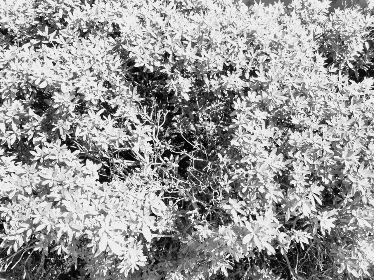 Amazonプライム ビデオで映画 トランス ワールド を観る サイバーコネクトツー Note