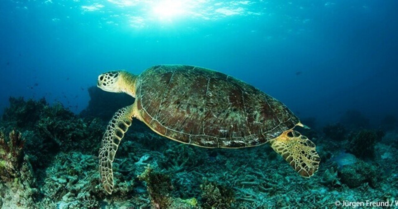 代表コラム8 みんなで地球に貢献 再配達防止運動 Logirobo ロボットで創る物流の未来を読み解く Note 代表コラム8 みんなで地球に貢献 再配達防止運動 Logirobo ロボットで創る物流の未来を読み解く Note