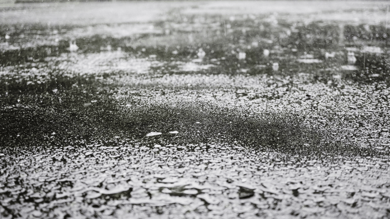 道に降る雨