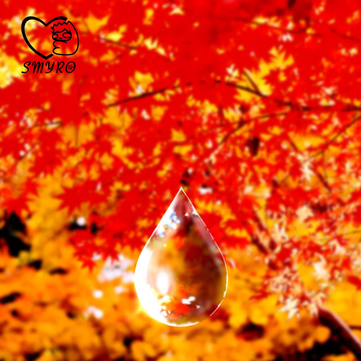 画像9