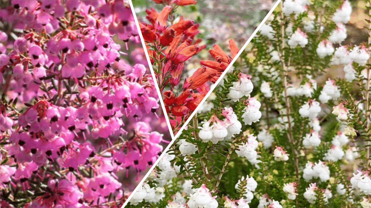 1 元乃木坂46 生田絵梨花の卒業に寄せて 生田絵梨花は ベンチャー企業の創業者 太陽光線 Note 1 元乃木坂46 生田絵梨花の卒業に寄せて 生田絵梨花は ベンチャー企業の創業者 太陽光線 Note