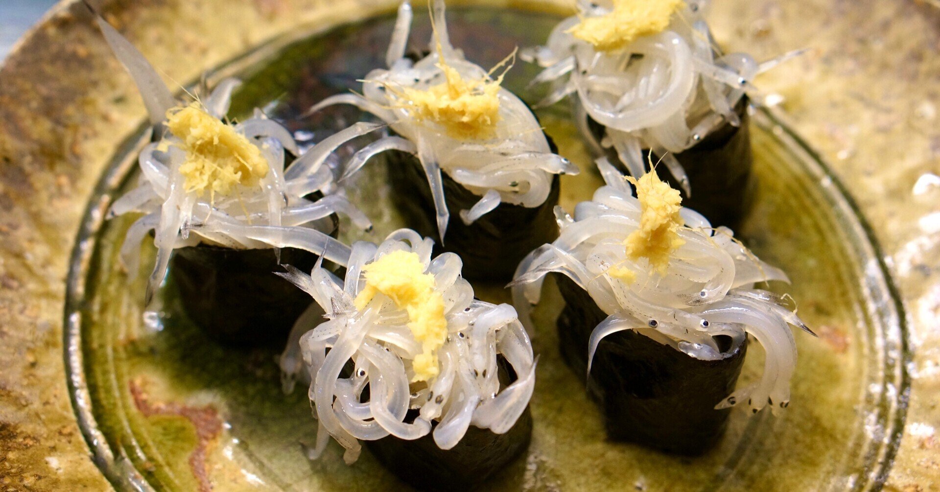 白魚の軍艦おすすめです 73歳すし屋のnote 74歳すし屋のnote 現役 Note 白魚の軍艦おすすめです 73歳すし屋のnote 74歳すし屋のnote 現役 Note