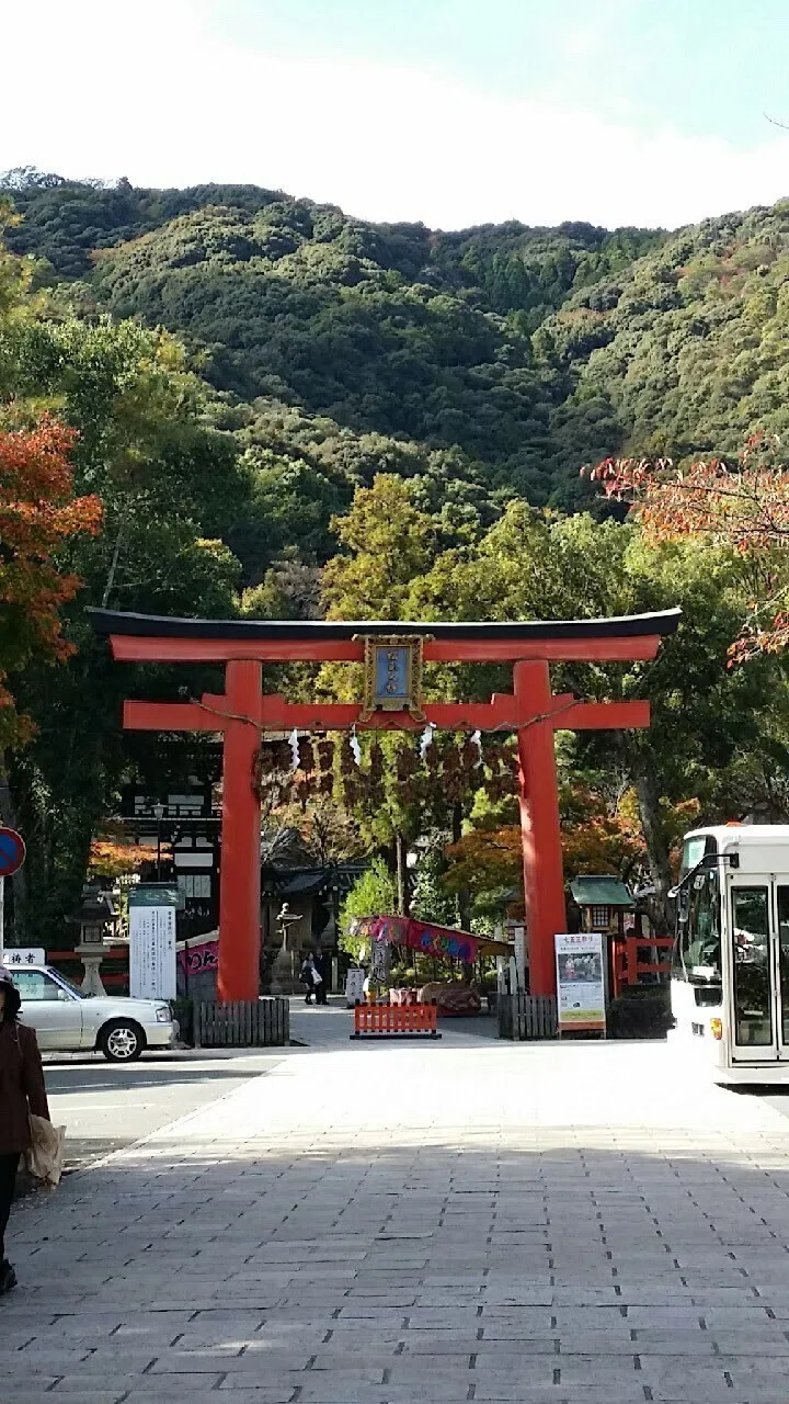画像1