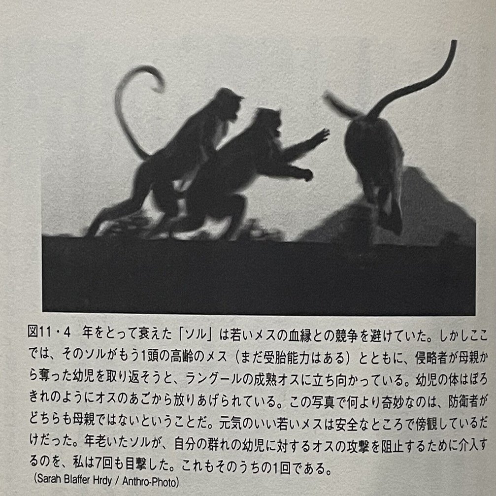 中川隆 koaQ7Jey コメント履歴 No: 100409, image size:1280x1007