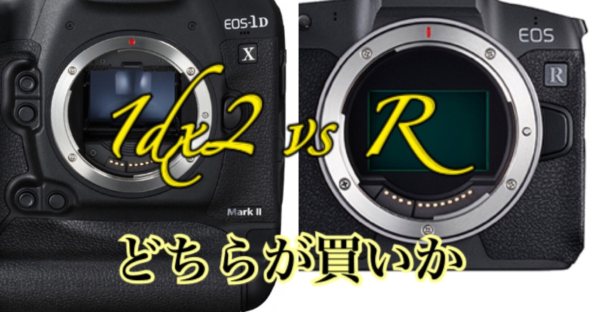 EOS 1dx mark2 VS EOS R どちらが買いか|78airline EOS 1dx mark2 VS EOS R どちらが買いか|78airline