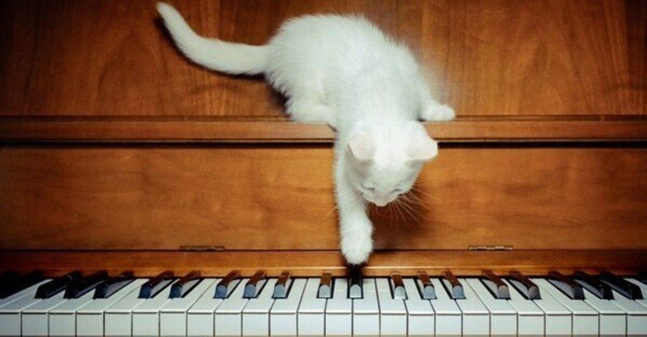 ねこふんじゃった』は簡単か？｜まつゆう