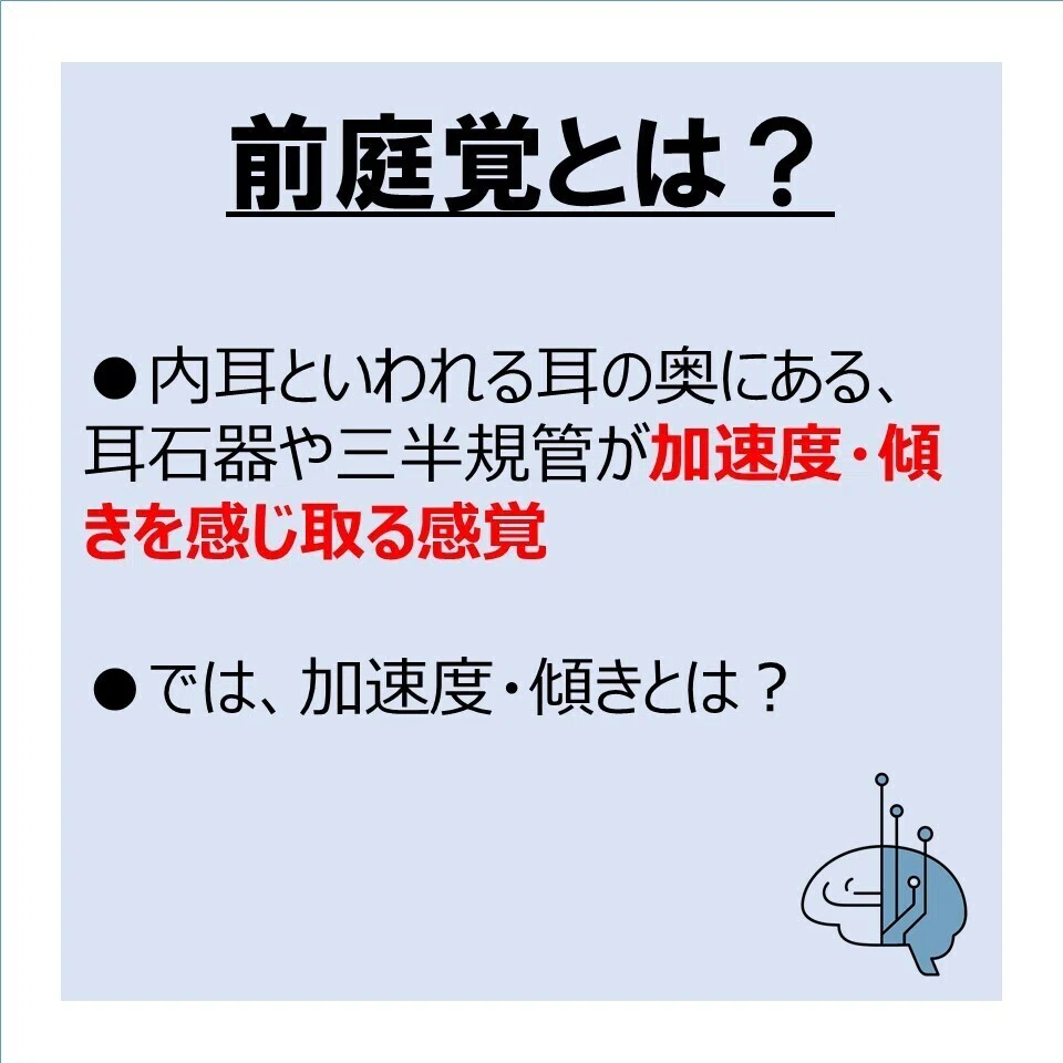 前庭覚‐発達を促す感覚とは‐｜発達支援×作業療法士