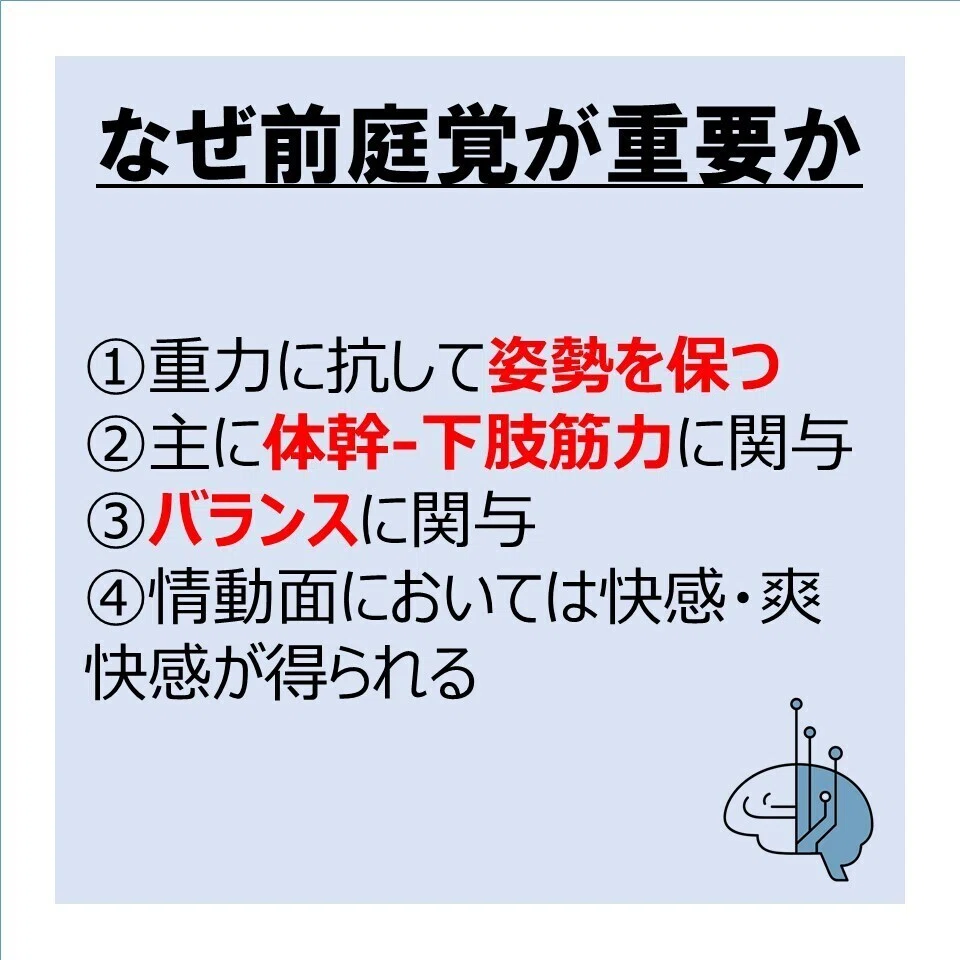 前庭覚‐発達を促す感覚とは‐｜発達支援×作業療法士