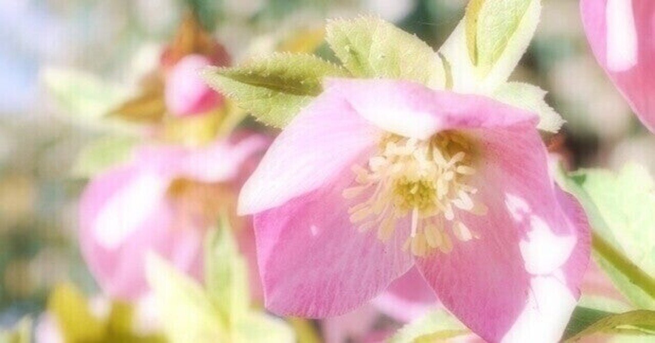 イグアナの娘 と 夢の中悪夢の中 Ooizumi21 Note イグアナの娘 と 夢の中悪夢の中 Ooizumi21 Note