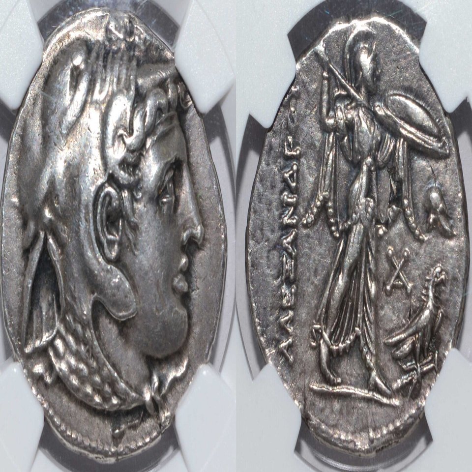 アンティークコインの世界｜古代コインとスラブのおはなし｜Shelk🦋