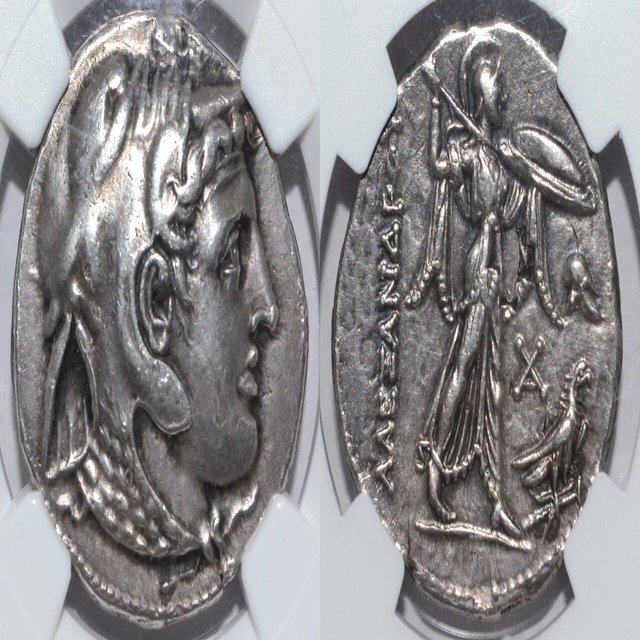 アンティークコインの世界｜古代コインとスラブのおはなし｜Shelk🦋