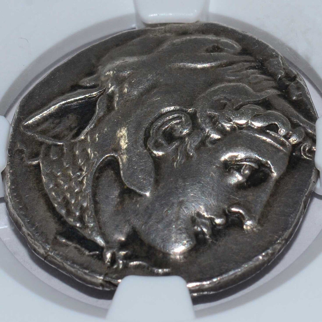 アンティークコインの世界｜古代コインとスラブのおはなし｜Shelk🦋