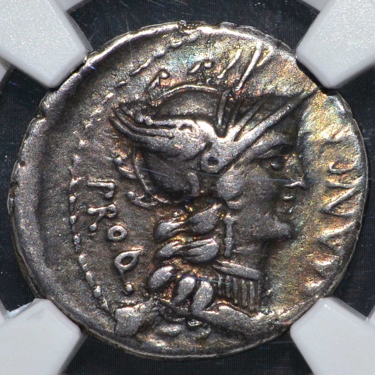 アンティークコインの世界｜古代コインとスラブのおはなし｜Shelk🦋