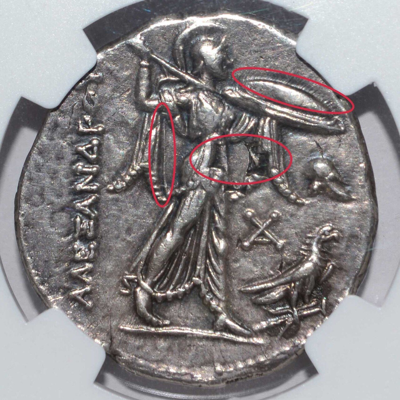 アンティークコインの世界｜古代コインとスラブのおはなし｜Shelk🦋